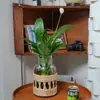 Capa de Garrafa Tecida em Palha Retrô Decoração de Casa Rede Protetora para Garrafa de Vidro Capa de Garrafa Artesanal de Palha Tecida Capa de Copo Tecida em Palha