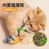 Juguete para Gatos con Pájaro de Sonido Realista, Resistente a Mordeduras, Auto-Entretenido, Pájaro Chirriante para Aliviar el Aburrimiento, Caña para Gatos con Pluma Colgante, Juguete para Mascotas