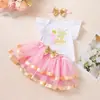 Venta directa del fabricante: Vestido transfronterizo para sesión de fotos de niña de un año, mameluco esponjoso de manga corta volada, vestido de tul esponjoso con borde dorado y juego de accesorios para el cabello