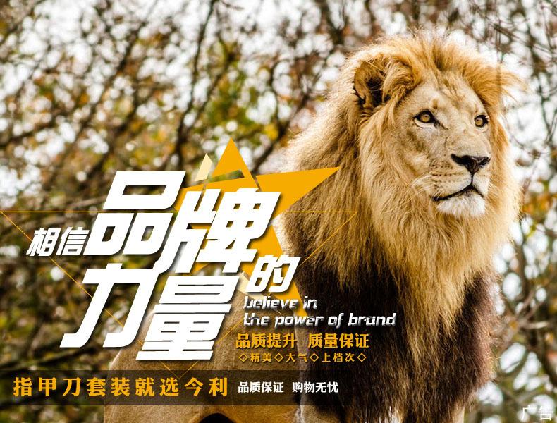 品牌的力量1