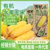 Maíz Pegajoso del Noreste, Maíz Orgánico, Maíz Pegajoso Amarillo y Negro, Maíz Fresco, Maíz Dulce (tipo Fruit Corn), Sin OGM, Venta al por Mayor y Distribución