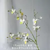 Orquídea Phalaenopsis Artificial con Textura Realista para Decoración de Bodas, Decoraciones para el Hogar y Hoteles, Venta al por Mayor de Orquídeas Artificiales para Comercio Transfronterizo