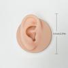 Simulación de rasgos faciales humanos y modelo de orejas silicona perforación acupuntura auricular práctica enseñanza aretes aretes suministros de exhibición