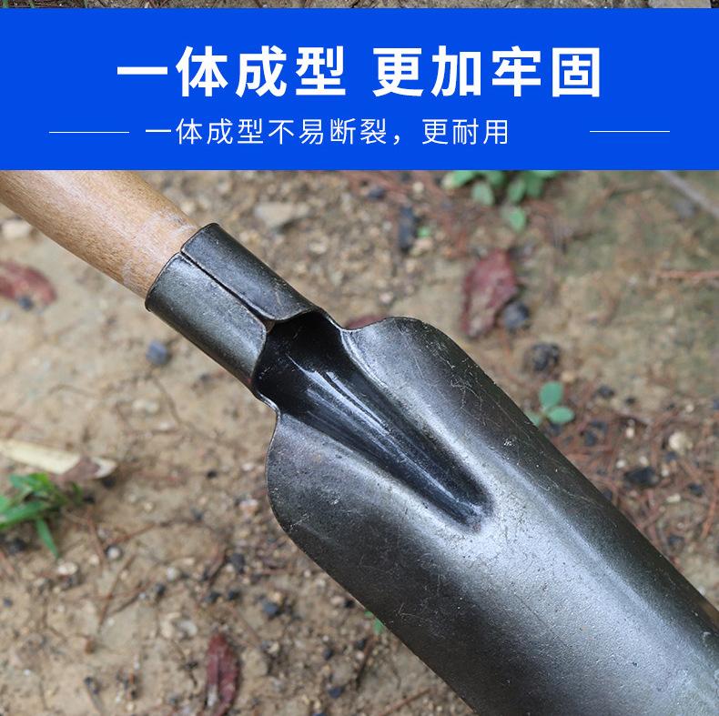 详情_08.jpg