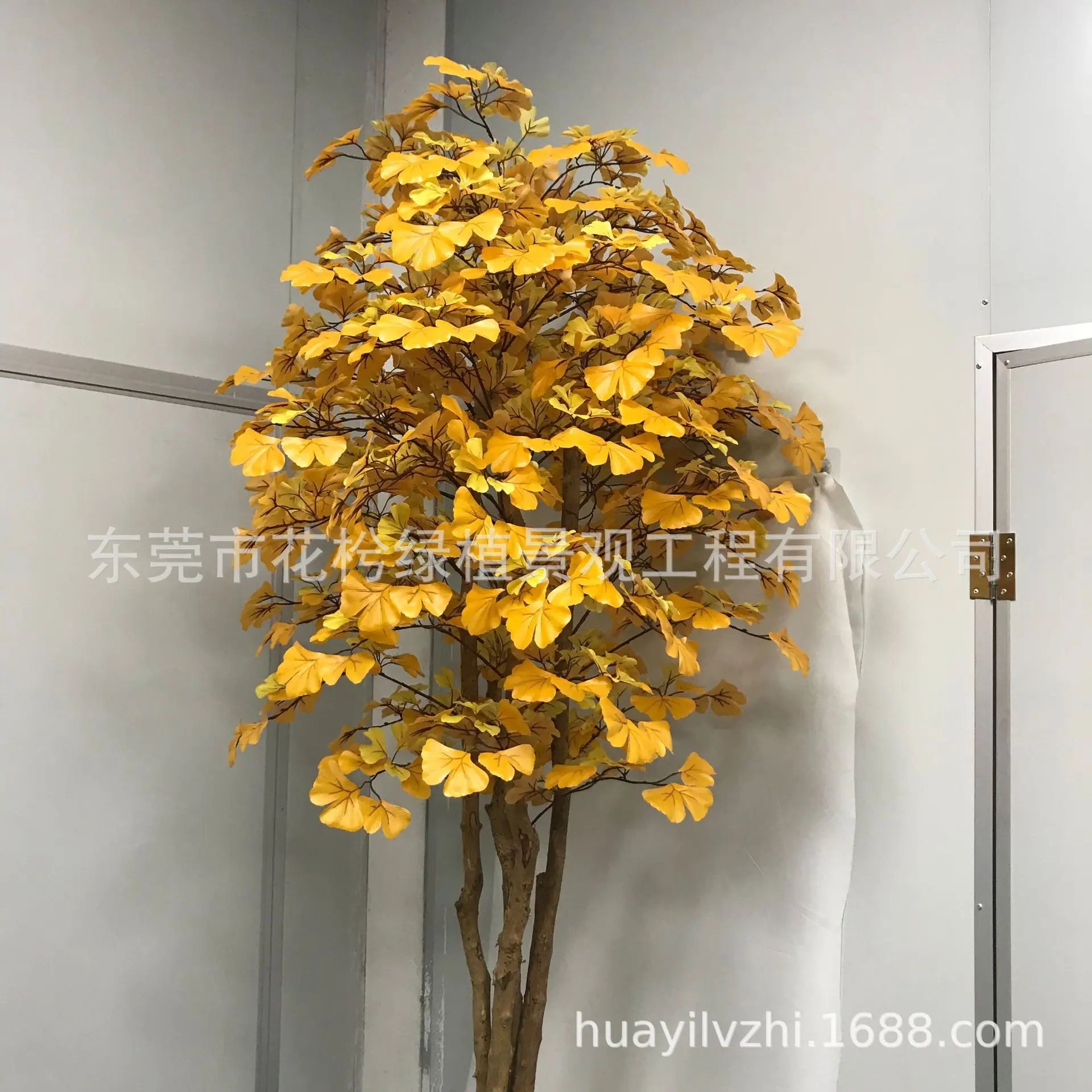 微信图片_202105280944536