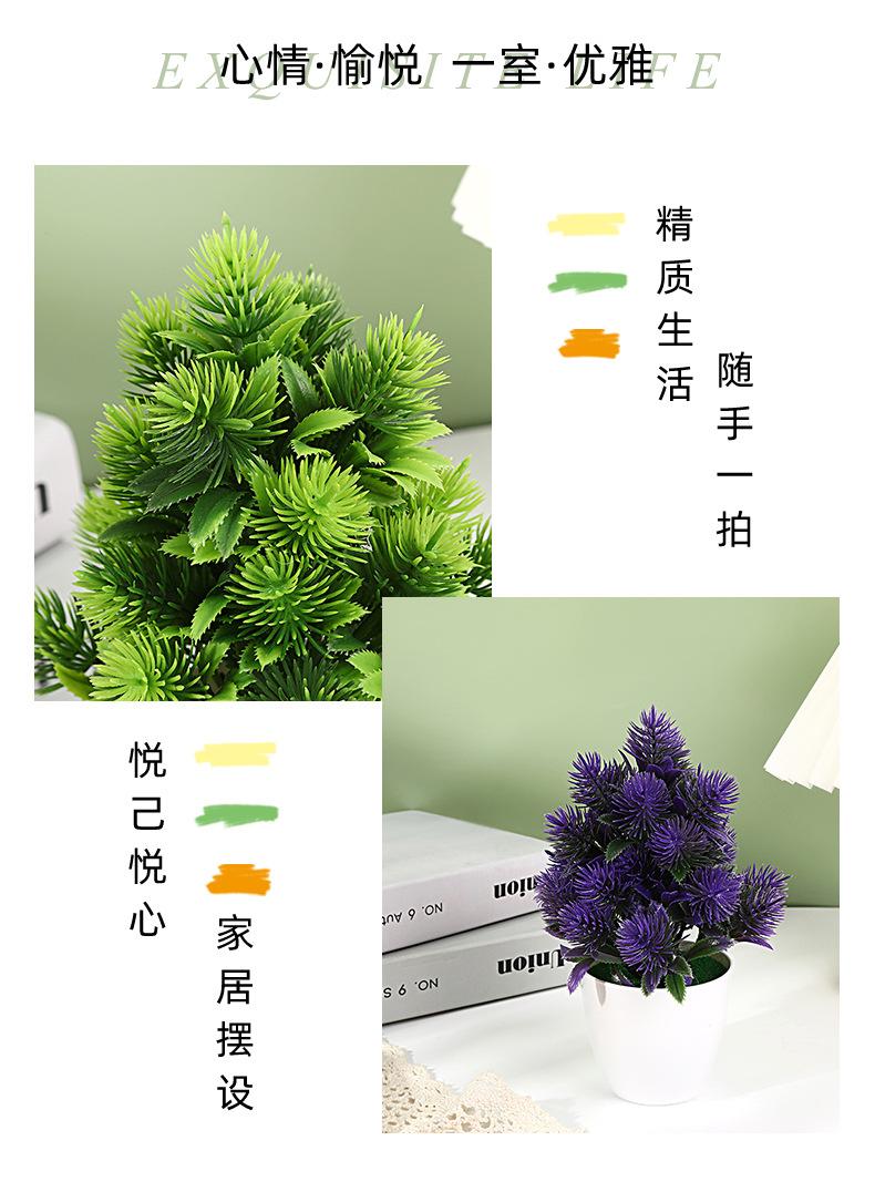 保侬详情_02.jpg