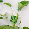 Fixador para Trepadeiras de Rosa, uma Ferramenta Mágica para Fixar Plantas Verdes na Parede, Gancho Sem Marcas, Adesivo Forte para Trepadeiras
