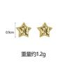 Elegantes Pendientes Vietnamitas de Oro Arena, Pendientes Sencillos Brillantes con Textura de Escamas de Dragón Estrella, Joyería Transfronteriza de Diseño Moderno para Mujer