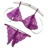 Sexy Abertura, No Necesita Quitarse, Ropa Interior de Encaje de Tres Puntos de Dos Piezas, Tangas Femeninas Sexy Pasión, Envío Directo de Una Pieza