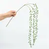 Planta Artificial con Ramas de Frijol Largo, Enredadera de Plástico Verde tipo Eucalipto para Colgar en Pared, Hojas Verdes, Decoración de Cesta Colgante, Arte Floral de Pared