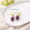 Pendientes de Fruta Naranja Europeos y Americanos Transfronterizos para Niñas Moda Fresa Arándano Manzana Joyería para Orejas Venta al por Mayor para Mujeres Fabricantes