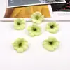 Flores artificiais pequenas, flores cosmos, materiais para cabeça de flor de grampo de cabelo DIY, arranjos florais de casamento, itens decorativos, acessórios para caixa de presente de roupas, cabeças de flor