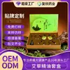 Caixa de Conjunto de Óleo Essencial de Artemísia para Massagem Personalizada Salão de Beleza Spa Óleo Essencial de Artemísia Composto Térmico para Corpo e Ombros Óleo Essencial