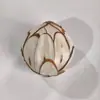 Personalizar Bolas de Tongcao Naturais Quentes de Venda Transfronteiriça, Bolas Mastigáveis Comestíveis Naturais para Animais de Estimação Pequenos, Artesanato de Frutas Secas Naturais