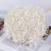 Hortensia Eterna Anna Hoja Pequeña Absorción y Decoloración de Color Material de Flor DIY Flores Reales Fábrica de Yunnan Stock Listo Wholesale Flores Secas