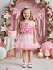 Mercadorias de Comércio Exterior Transfronteiriço Conjunto Original de Verão para Meninas com Top Halter Floral 3D e Saia Tutu Conjunto de Duas Peças, Conjunto de Vestido Princesa em Renda
