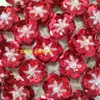 Lentejuelas Perlas Flores de 2 cm Accesorios de Decoración DIY Piezas Hechas a Mano Perlas Brillantes Lentejuelas Flores Flores para Zapatos Hechas a Mano
