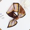 Estola Pequeña de Satén con Estampado Geométrico para Mujer Popular Primavera Nueva Hebilla Larga Estola Perezosa Bufanda Decorativa