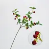 Simulação Transfronteiriça Planta Mori Fruto Framboesa Galho de Fruta Fruta Selvagem Fruto Acácia Sala de Estar Arranjo de Flores Decorações de Mesa Floricultura de Casamento