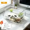 Novo Tanque de Tartaruga Tanque Especial Terra e Água Anfíbio Paisagismo Casa Pequeno Tanque de Peixes de Mesa Moldagem Integrada Outros