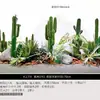 Plantas Verdes Simuladas com Toque de Luxo, Combinação de Paisagismo com Plantas Artificiais, Conjunto Completo de Decorações para Janelas Internas, Design Criativo Biomimético Estilo Wabi-Sabi