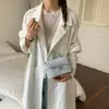 Bolsas de Alta Gama para Mujer 2026 Nuevo Diseño de Nicho Bolso Cruzado Estilo Popular de Celebridad de Internet Bolso de Mano Primavera y Verano Bolso Cuadrado Pequeño Acolchado