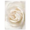 Paisaje de Playa de Lago Pintura de Diamantes Arte de Pared Boho Flor de Caña Póster Incrustado DIY Pintura Decorativa de Diamantes