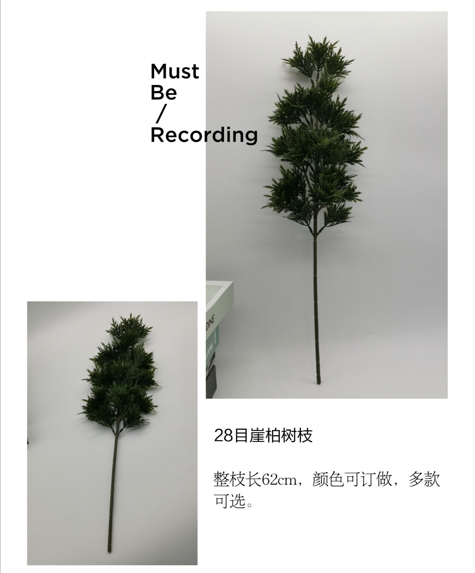 QQ图片20200615162710.jpg