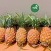 Piña Diamante Dorado 5kg Fruta tropical fresca de temporada seleccionada madurada en árbol, no piña, piña de Yunnan deshebrada a mano, caja completa