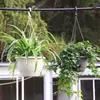 Maceta Florero Chlorophyllum Balcón Planta Verde Colgante Maceta Colgante de Plástico Redonda Engrosada Maceta con Almacenamiento de Agua Maceta de Jardinería al por Mayor con Gancho