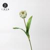 Vendas diretas da fábrica Rococó Tulipa simulação sentir hidratante flor falsa decoração da sala de estar ornamentos de fotografia de flores artificiais