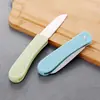 Cuchillo de Fruta Hogar Cocina Pelador Cuchillo Plegable Venta al por Mayor Tienda de un Dólar Cortar Melón y Fruta Portátil Acero Inoxidable Pelador