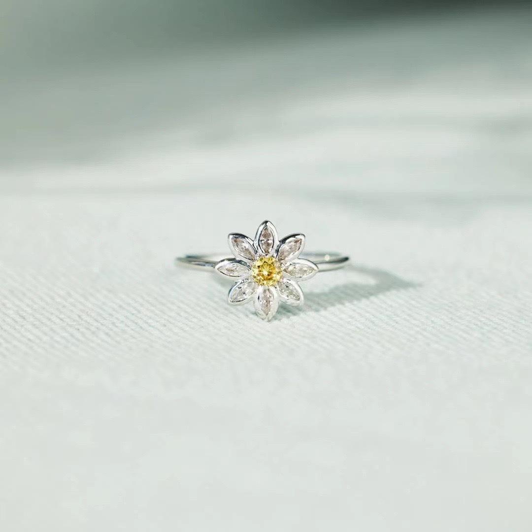 微信图片_20240621155023