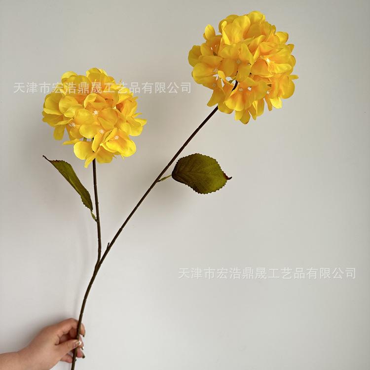 微信图片_202303211636148_副本