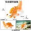 Simulación transfronteriza modelo animal cognición oceánica pez dorado piraña pez volador pez globo pez piedra pez mariposa juguete