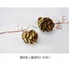 Brincos de Planta, Frutas Secas Naturais, Materiais para Brincos de Abóbora, Joias Personalizadas Criativas de Nicho, Acessórios para Brincos, Fruta