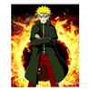 Pintura Diamante 5D Anime Dibujo Animado Naruto One Piece Sticker Art Fabricante Punto de Cruz Venta al por Mayor Hecho a Mano