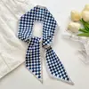 Cordones de Cristal Coreanos Bufanda Larga de Seda Versión Coreana Decoración Versátil para Zapatos Moño Zuecos Cordones Accesorios para Zapatos