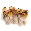 80 Tipos de Penas Naturais de Faisão, Penas Reais, Decorações Nativas Americanas, Acessórios DIY, Acessórios de Cabelo, Peças para Brinquedo de Vara para Gato