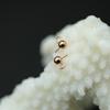 Accesorios para ARETES DIY Aguja de Bola de Acero Inoxidable Pin de Bola de Metal con Anillo para Colgar Puede Colgar Aretes Accesorios para Aretes