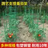 Biela de Tomate Varilla de Soporte Estante para Verduras Jardinería Fijación de Plantas Verdes Estante para Flores de Rosa Soporte para Berenjena Auxiliar