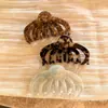 Presilha de Cabelo de Acetato Estilo Coreano com Toque de Luxo, Presilha de Tubarão Exquisita para Penteados, Presilha Grande para Cabelo Grosso, Novo Acessório de Cabelo