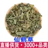 Xianhecao, Longyacao, Tulicao, Langyacao - Novos Produtos Frescos e Secos