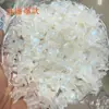 Glitter gelatinoso luminoso com furo médio cauda de fênix borboleta perolada faça você mesmo acessórios para pendurar acessórios para cabelo atacado