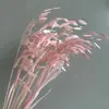 Véspera de Ano Novo Flor Eterna Grama Bigode de Dragão Material Cenário de Pinheiro Penglai Dia de Ano Novo Feijão Pendurado Arroz Boas-vindas de Casamento Rosa Decoração de Casa