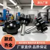 Tornillo de cabeza hexagonal de plástico de 25 mm-m6PP de fábrica de Dongguan, tornillo de mano con mango