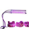Luz LED para Crecimiento de Plantas, Pinza para Lámpara de Planta, Temporizador, Luz Solar de Espectro Completo, Luz Suplementaria para Suculentas, Flores y Plántulas de Hierbas