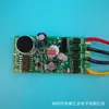 Interruptor automático retardado de control de sonido y luz AC100~220V, interruptor de control de sonido mini para pasillo, en stock del fabricante
