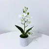 Novo Modelo de Quatro Orquídeas Phalaenopsis Artificiais em um Vaso de Flores Plástico Realista Impresso em 3D para Fotografia e Decoração