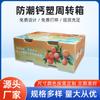 Caja de Plástico de Calcio Naranja Naranja Azúcar Naranja Volteo Caja de Plástico de Calcio a Prueba de Humedad Caja de Transporte para Transferencia de Frutas y Verduras Personalización